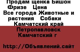 Продам щенка Бишон Фризе › Цена ­ 30 000 - Все города Животные и растения » Собаки   . Камчатский край,Петропавловск-Камчатский г.